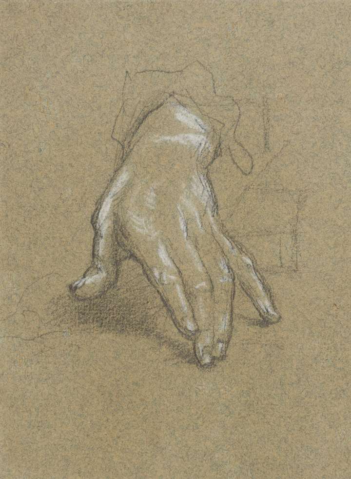 Study of a Left Hand